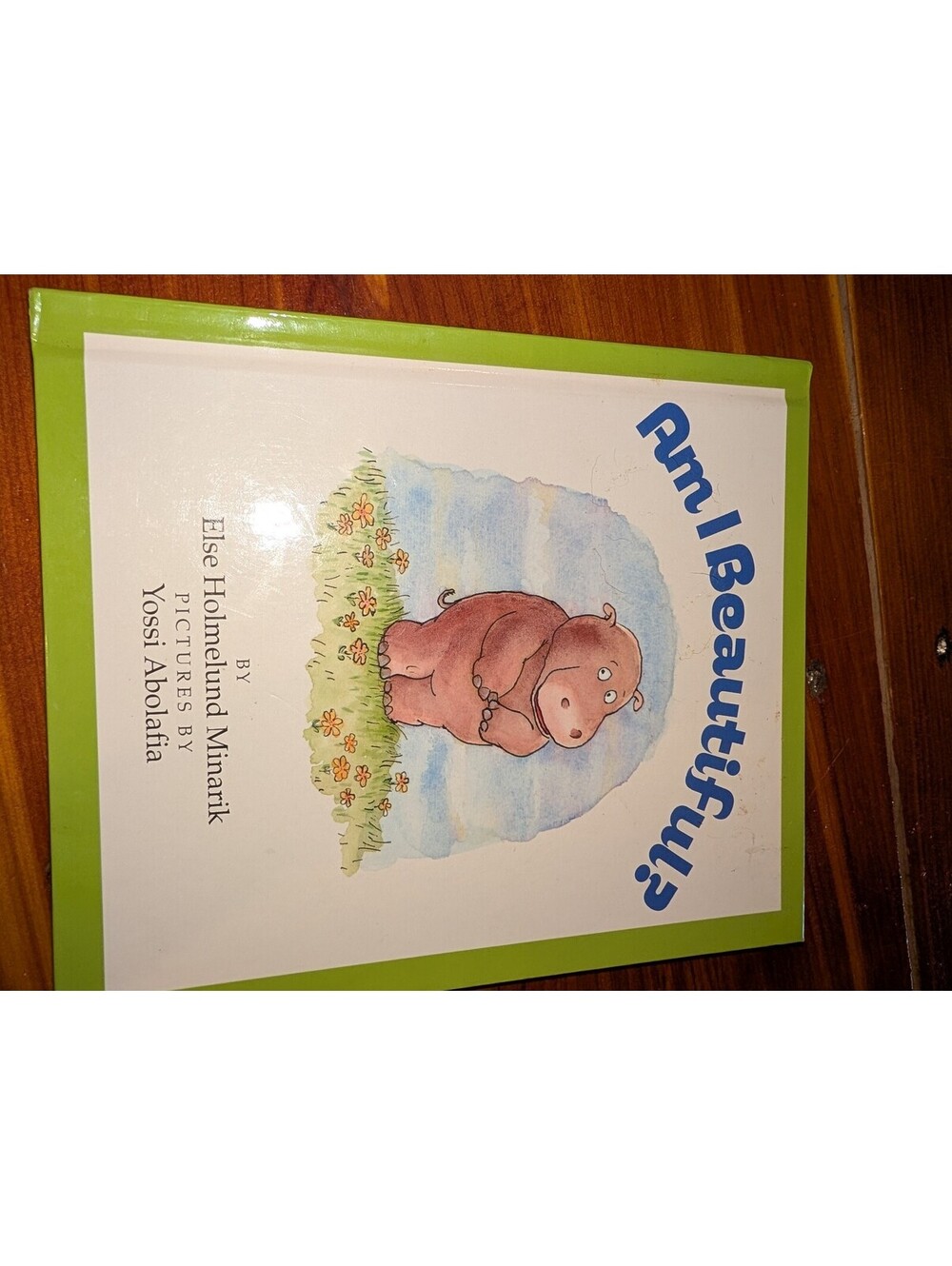 Am I Beautiful? by Else Holmelund Minarik, Illustrated by Yossi Abolafia - 1992